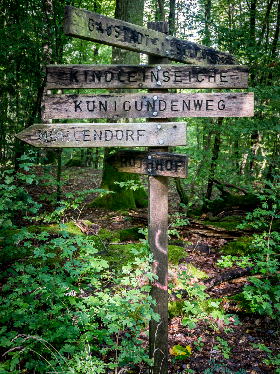 # Auf der Strecke bleiben - Wallfahrt 2017