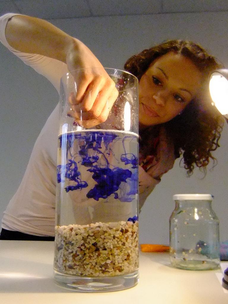 1B--2013--MNE-EXPERIMENTE