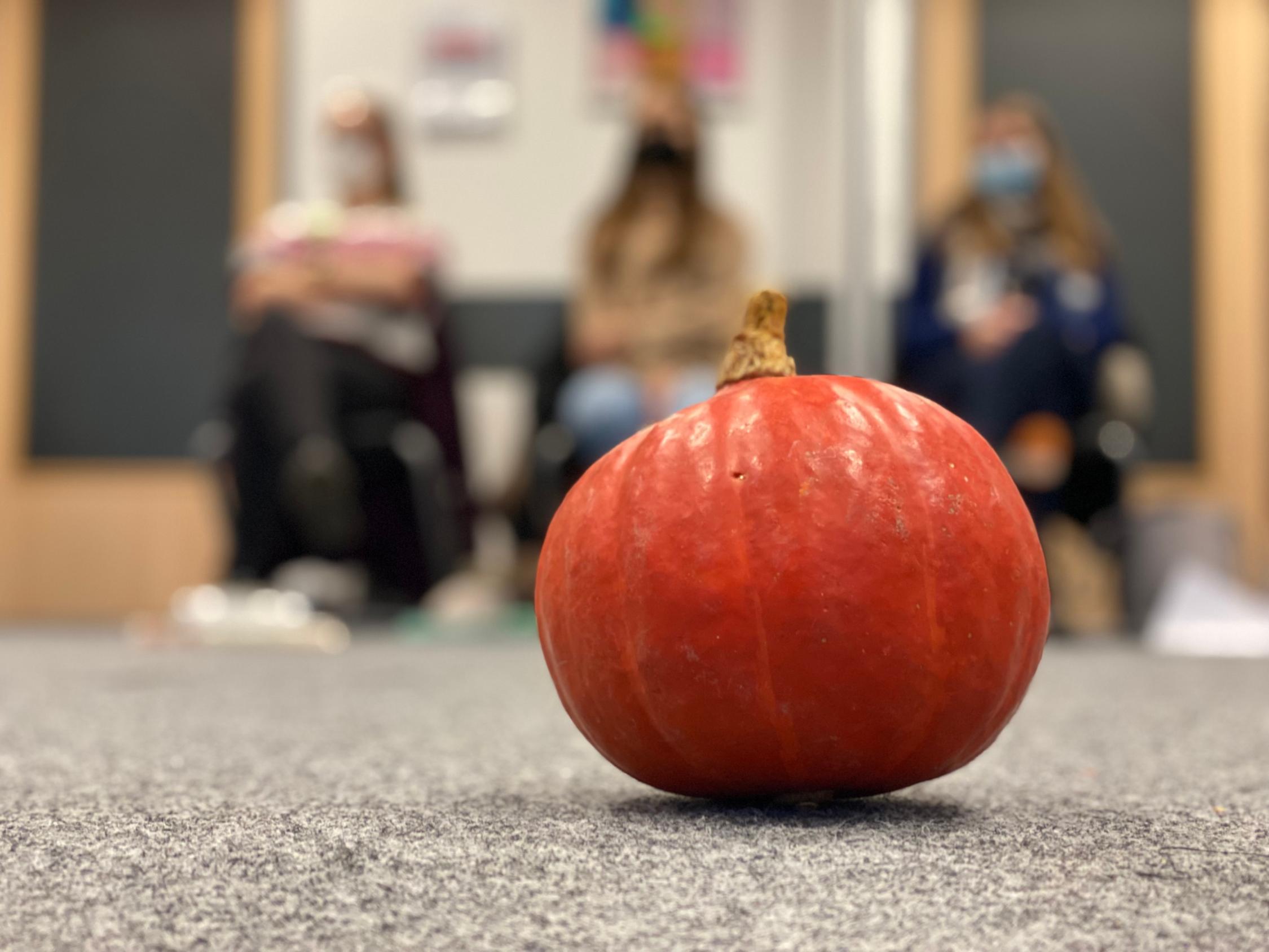 „Die Kunst, einen Kürbis zu teilen“ - Demokratie (er)leben mit Betzavta