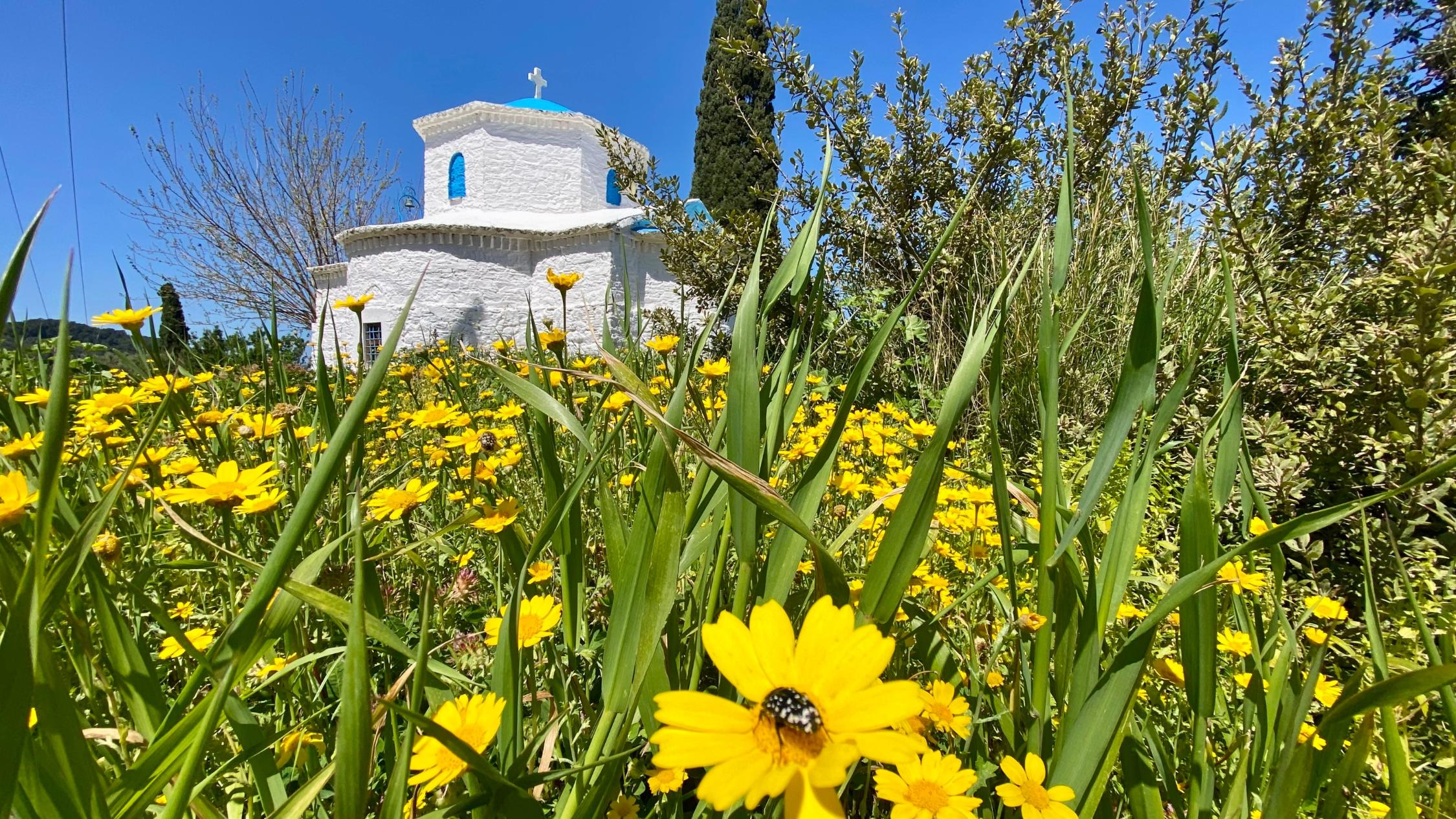 Erasmusreise Samos 2025