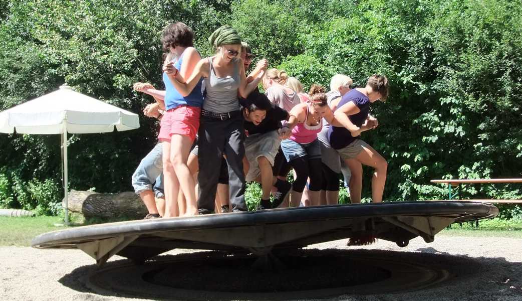 Große Balance-Scheibe