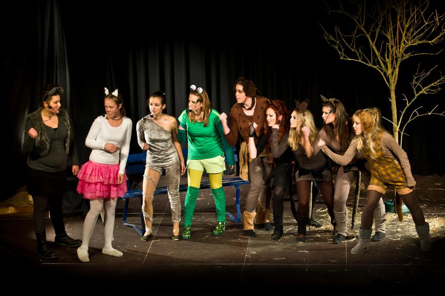 Musical: Beste Feinde