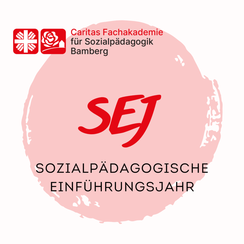 SEJ (c) faks SEJ