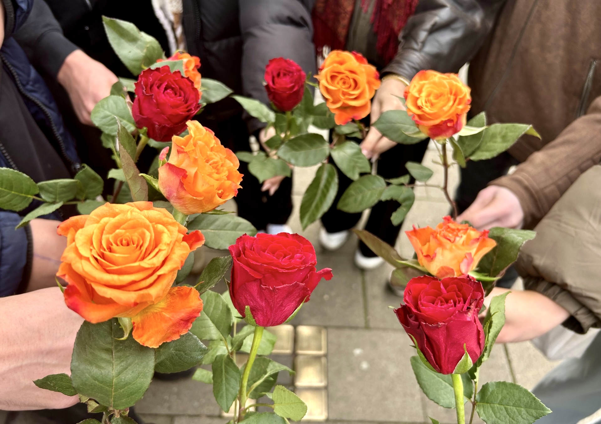 Stolperstein für Hildegard Löwenherz 2024