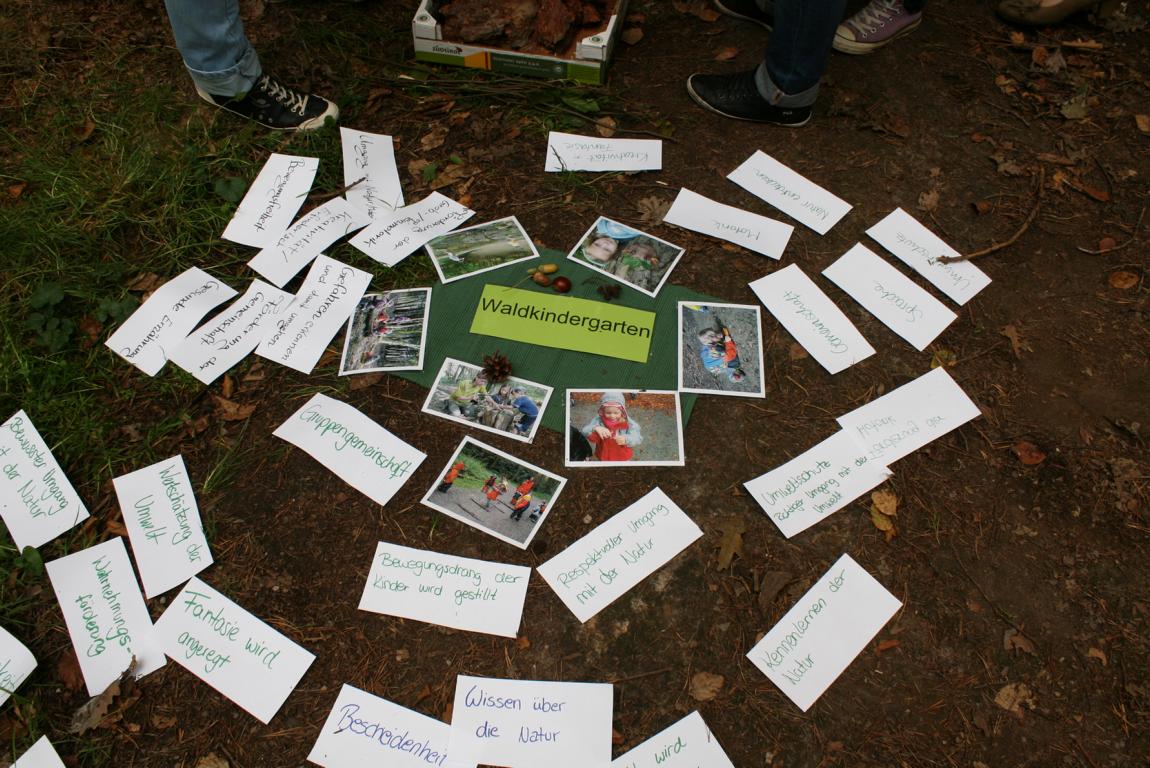 Waldpädagogik 2012