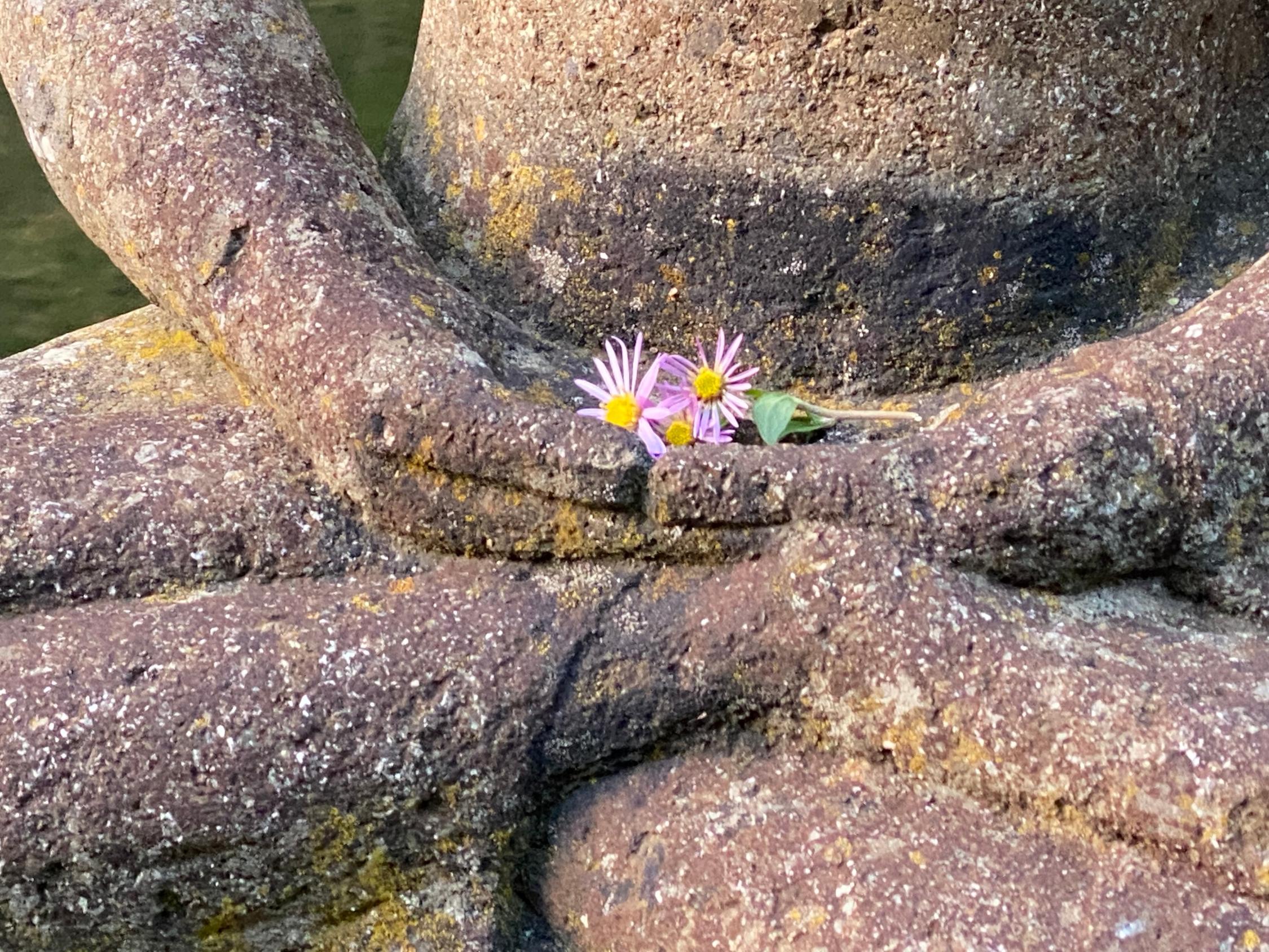 Wie wollen wir leben - Besuch im buddh. Kloster